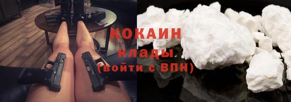 твердый Лиски