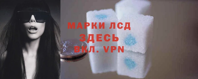 ALPHA PVP Лабытнанги