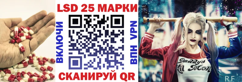Купить закладки  Волхов  LSD-25 экстази кислота 
