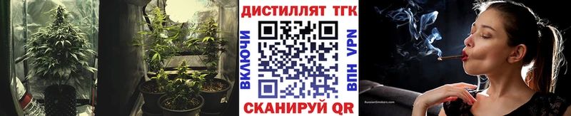 Купить  Волхов  Дистиллят ТГК жижа 